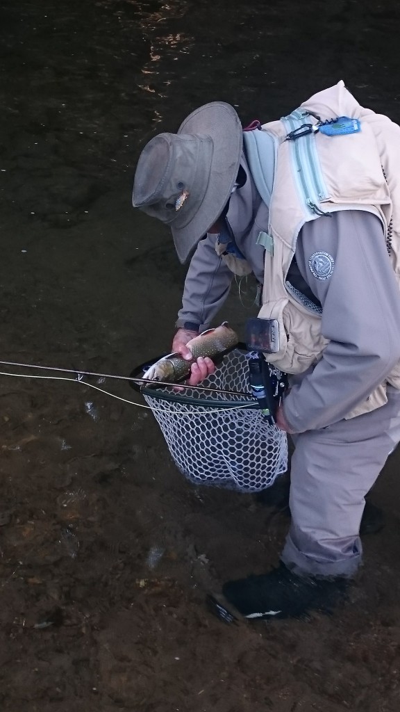 Pennsylvania Fly Fishing Reports Trout Haven