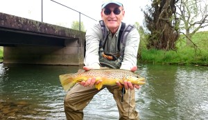 Brown Trout Spruce Creek May 2017 Fly Fishing
