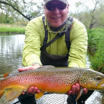 Big Brown Spruce Creek May 2017 Fly Fishing