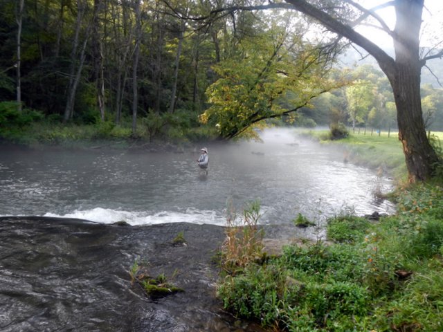 Biggest Wild Trout Pennsylvania Trout Haven Spruce Creek PA Guided Fly Fishing Trip