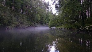 Swift River Above Rt 9