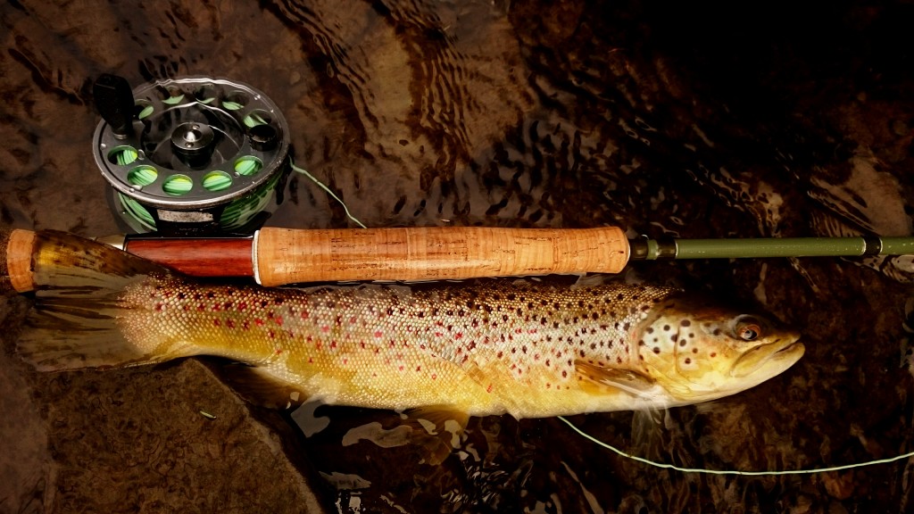 Graphite vs Fiberglass vs Bamboo - A Buyer's Guide to Fly Fishing Rods -  Trout Haven