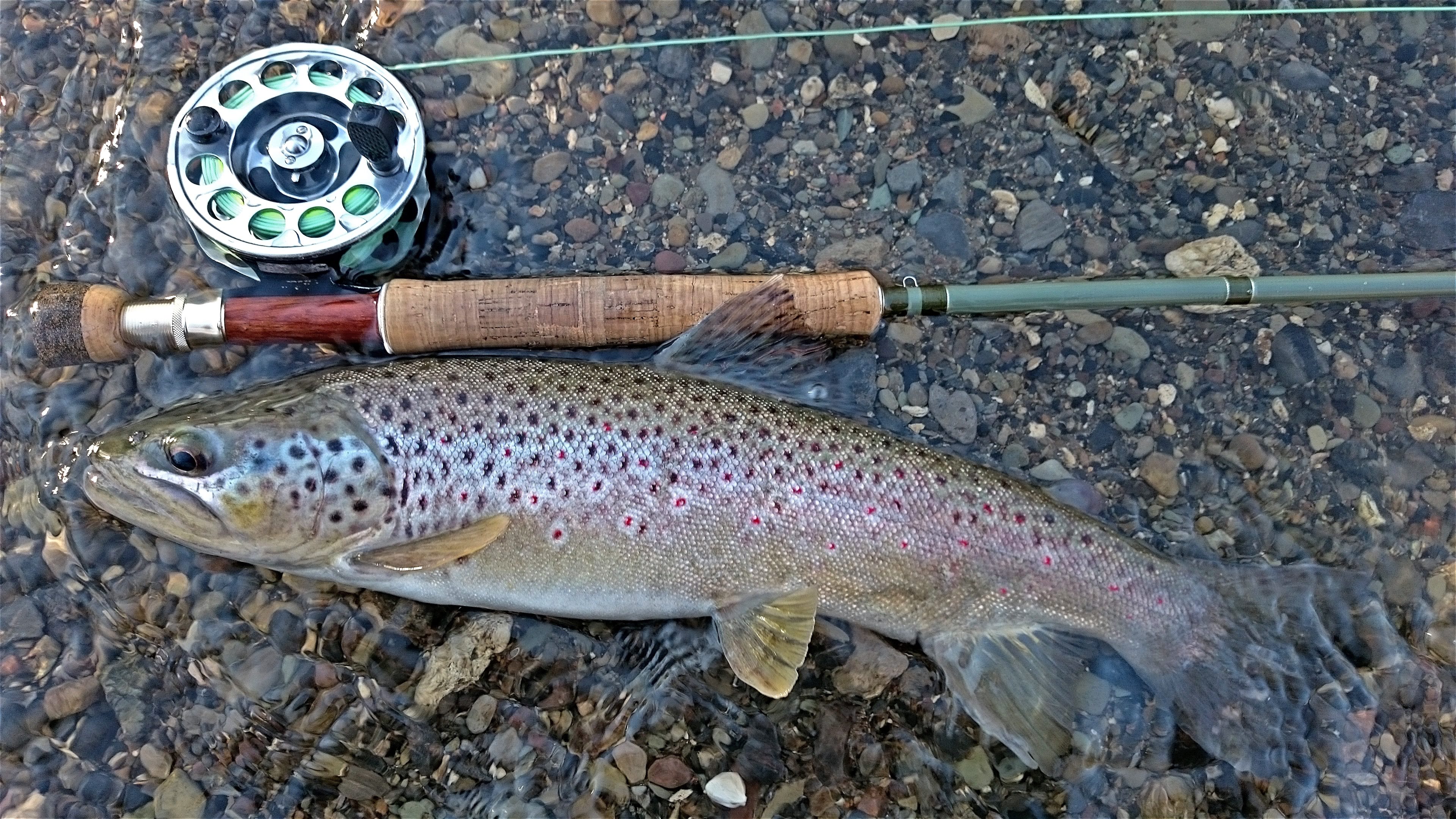 Early Spring Trout Fishing Trout Haven