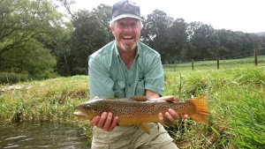 Best Brown Trout on Dry Flies Beetle Wild Brown Trout Terrestrial Dry Fly Spruce Creek PA