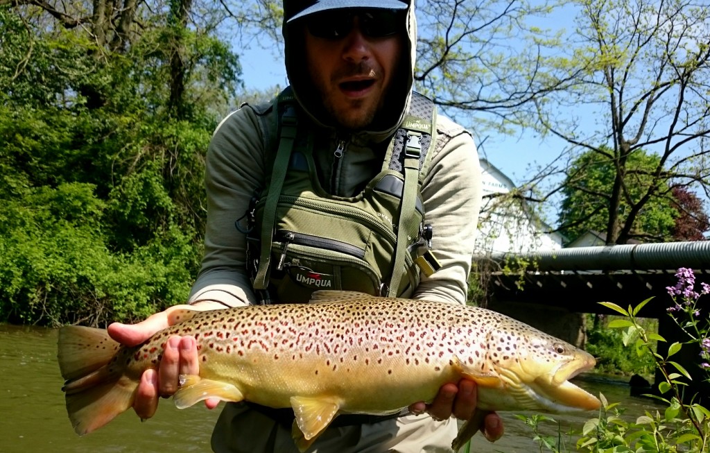 Biggest Wild Trout Pennsylvania Trout Haven Spruce Creek PA Guided Fly Fishing Trip