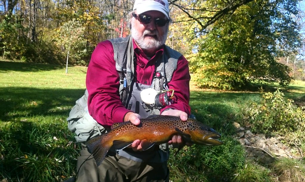 Biggest Wild Trout Pennsylvania Trout Haven Spruce Creek PA Guided Fly Fishing Trip