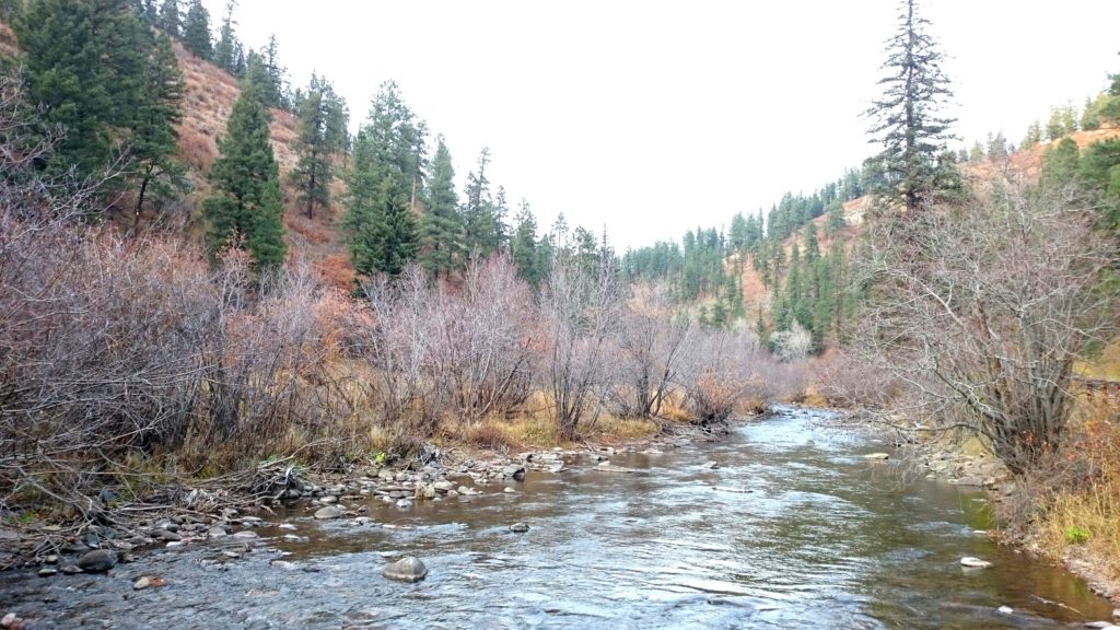 The Pecos River New Mexico Fly Fishing Pecos River Dry Fly Fishing