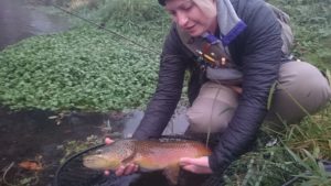 early morning streamer fishing spruce creek pa Trout Haven