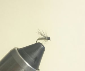 Elk Hair Midge Dry Fly Pattern Trout Haven