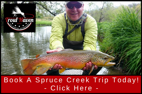 Spruce Creek PA Guided Fly Fishing Trip