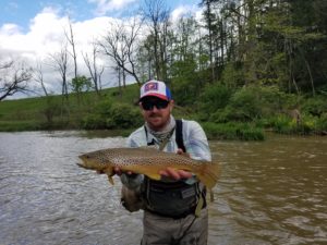 Early May Fly Fishing Pennsylvania Brown Trout 2017