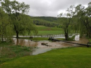 Early May Fly Fishing Pennsylvania 2017