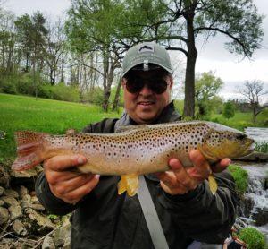 Early May Fly Fishing Pennsylvania Brown Trout 2017