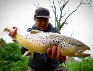 Early May Fly Fishing Pennsylvania Brown Trout 2017