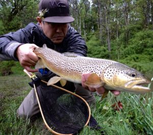 Early May Fly Fishing Pennsylvania Brown Trout 2017