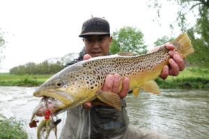 PA Fly Fishing Spring 2017 Spruce Creek Brown Trout