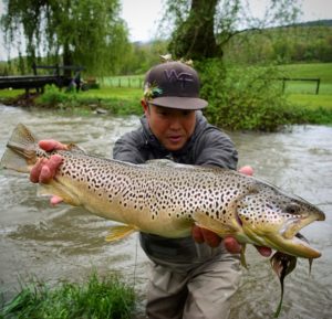 PA Fly Fishing Spring 2017 Spruce Creek Brown Trout