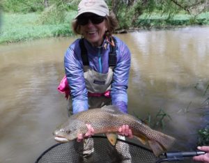 PA Fly Fishing Spring 2017 Spruce Creek Brown Trout