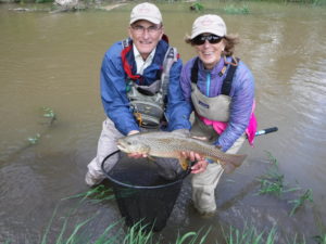 PA Fly Fishing Spring 2017 Spruce Creek Brown Trout