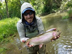 terrestrial dry flies on spruce creek trout haven rainbow trout