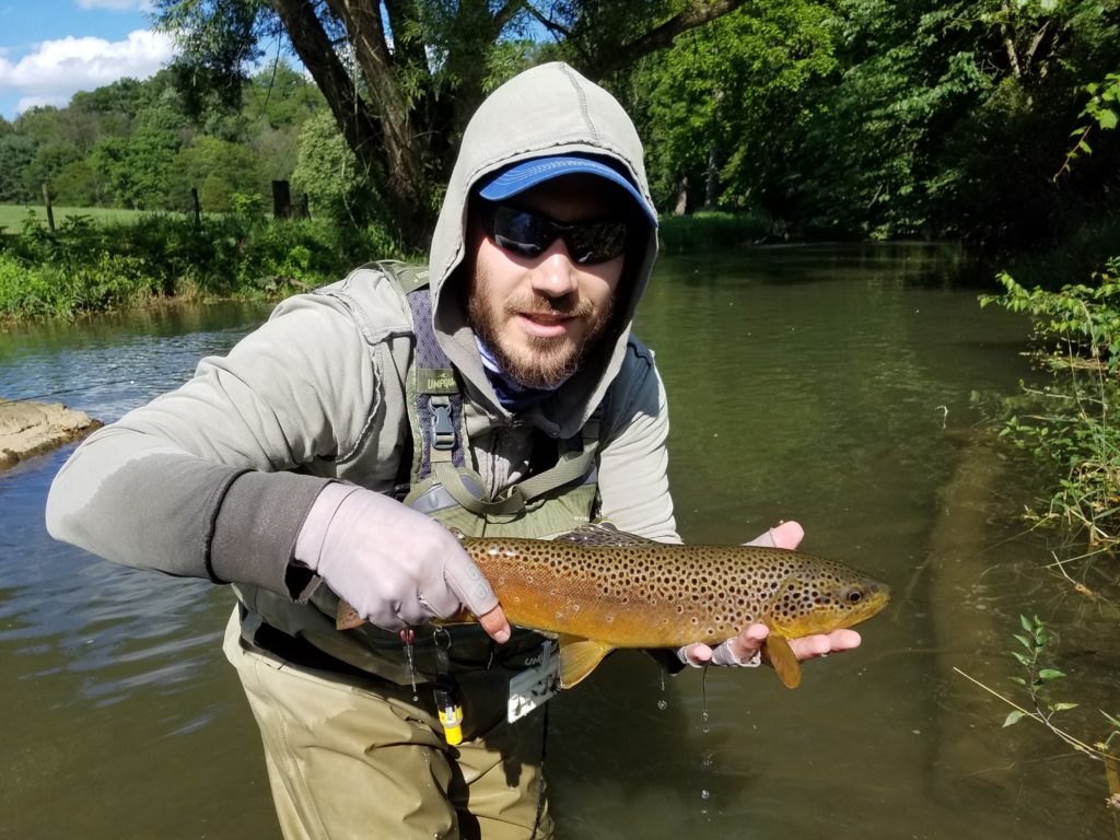 terrestrial dry flies spruce creek trout haven brown trout