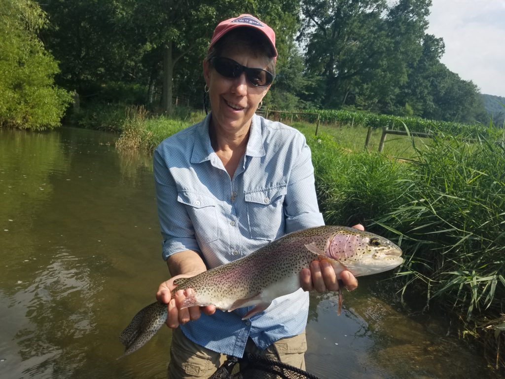 Summer Fly Fishing in Central PA rainbow trout japanese beetle terrestrial