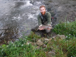 terrestrial dry flies spruce creek trout haven rainbow trout