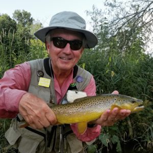 Summer Fly Fishing in Central PA brown trout japanese beetle terrestrial