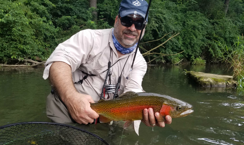 Tricos and Terrestrials Summer Fly Fishing in Central PA