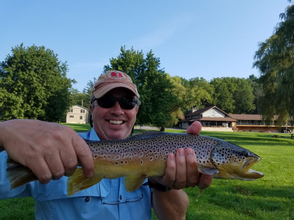 A Nice Brown with Hemlock Lodge in the Background