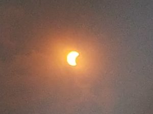 Solar Eclipse Spruce Creek August 21