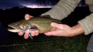 PA Fly fishing brook trout spruce creek trout haven