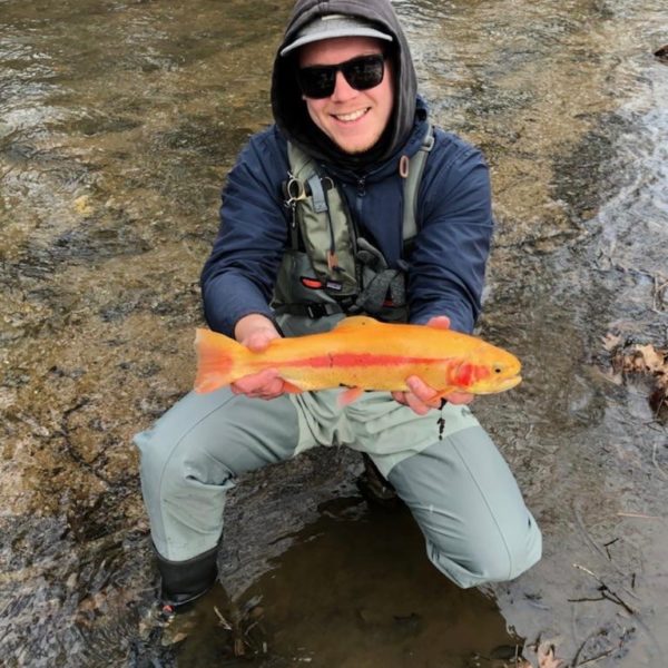 PA Wild Brown Trout Archives Trout Haven