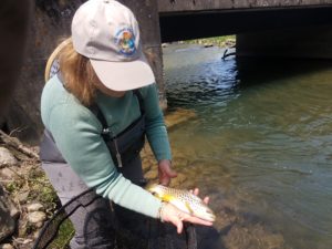 Early May PA fly fishing trout haven spruce creek