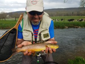 Early May PA fly fishing trout haven spruce creek