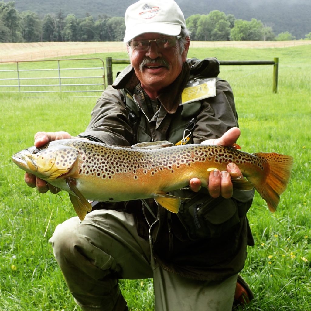 Early Summer PA Fly Fishing brown trout spruce creek Pennsylvania trout haven