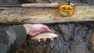 PA Winter Fly Fishing 5 tips for success trout haven valley creek valley forge historic national park