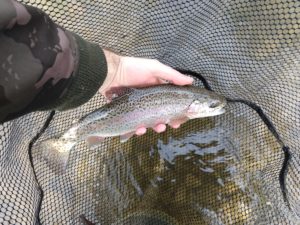 Fly Fishing Little Lehigh Creek PA Trout Haven