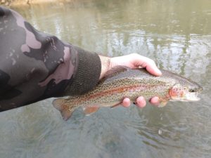 Fly Fishing Little Lehigh Creek PA Trout Haven