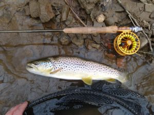 Fly Fishing Little Lehigh Creek PA Trout Haven