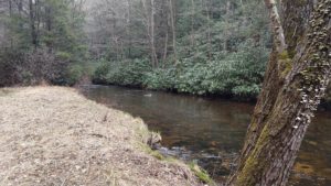 Hunting for Hidden Treasure PA Spring Fly Fishing trout haven