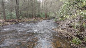 Hunting for Hidden Treasure PA Spring Fly Fishing trout haven