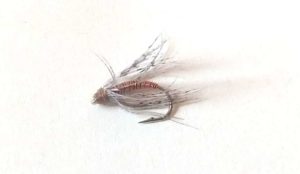 Soft Hackles Late Spring PA Fly Fishing Trout Haven