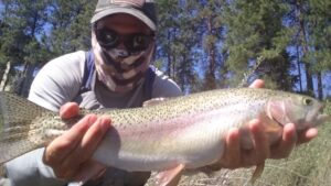 Montana Summer Fly Fishing Trout Haven Missoula MT