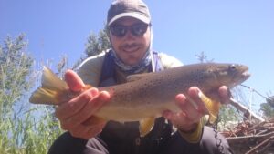 Montana Summer Fly Fishing Trout Haven Missoula MT