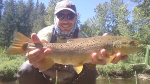 Montana Summer Fly Fishing Trout Haven Missoula MT