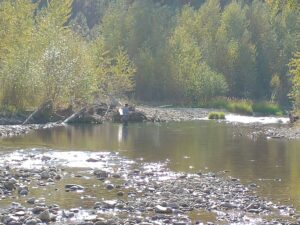 Western Montana Fall Fly Fishing 2020 Trout Haven Missoula