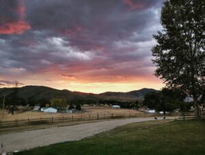 Western Montana Fall Fly Fishing 2020 Trout Haven Missoula