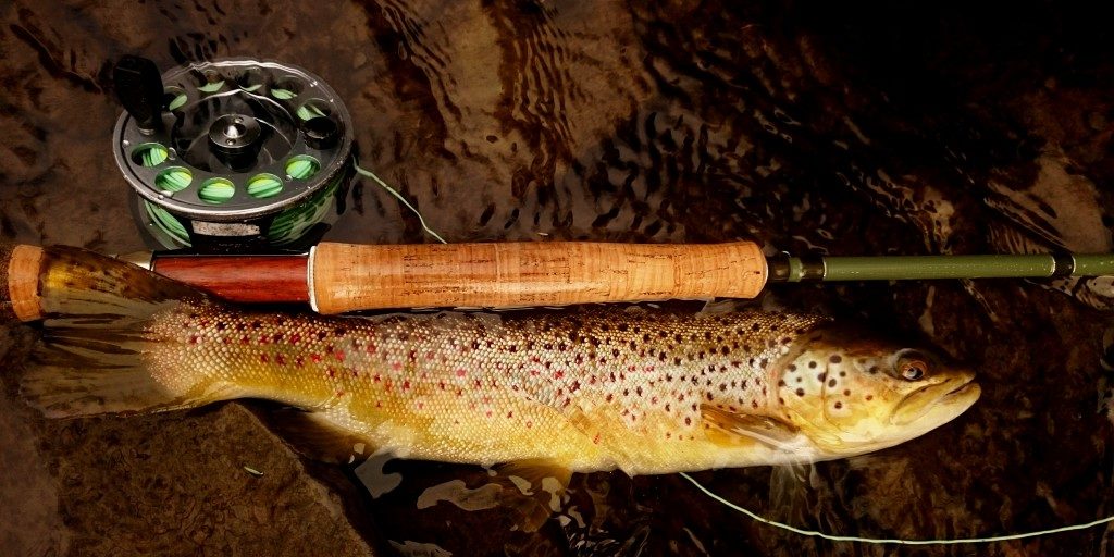 Graphite vs Fiberglass vs Bamboo - A Buyer's Guide to Fly Fishing Rods -  Trout Haven