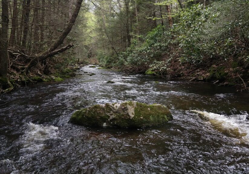 Small Stream PA Guided Fly Fishing Trip Trout Haven Lehigh Valley